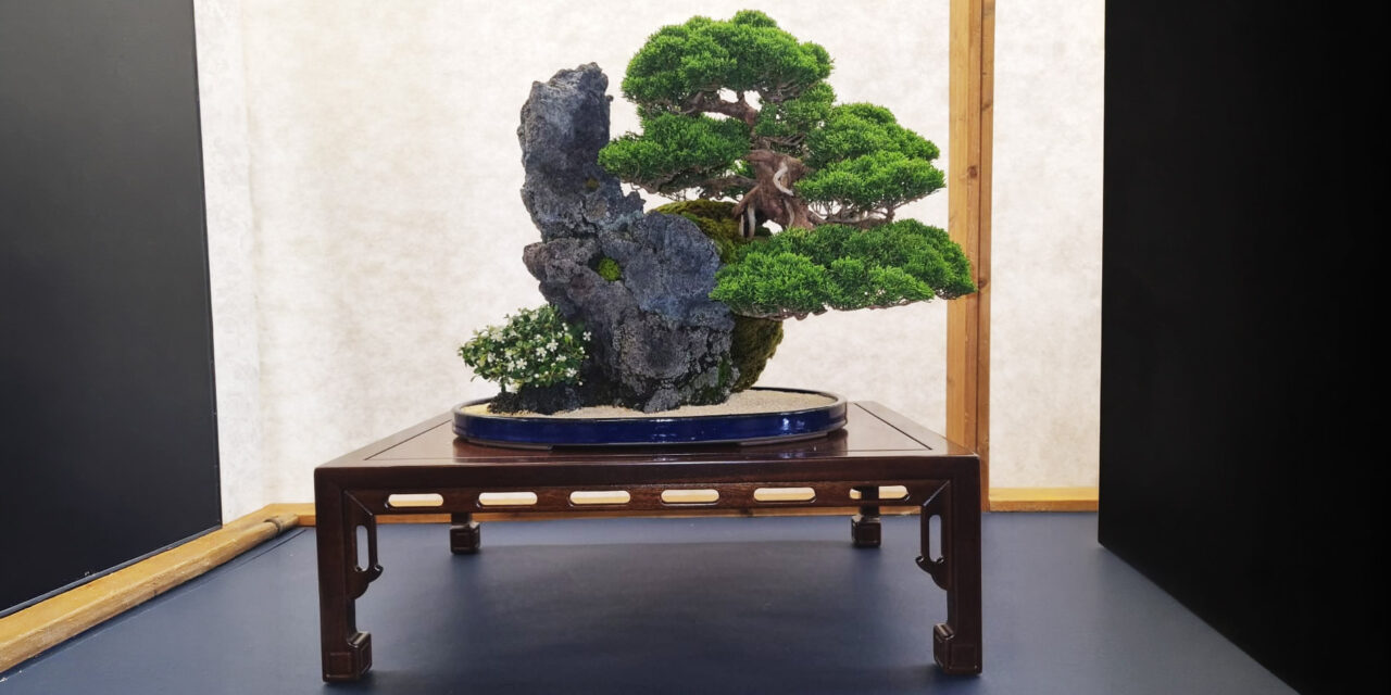 Vortrag mit Herbert Schaffert zum Thema „Die Welt der kleinen Bäume – Bonsai 盆栽“